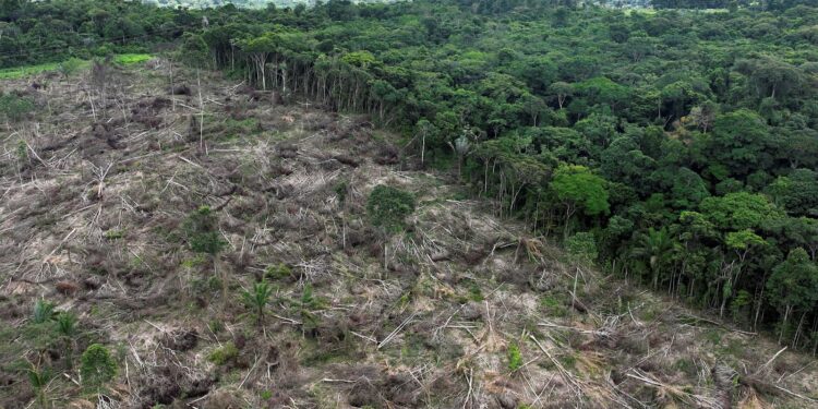 FILE PHOTO: An aerial view shows a deforested area during an operation to combat deforestation near Uruara, Para State, Brazil January 21, 2023. REUTERS/Ueslei Marcelino